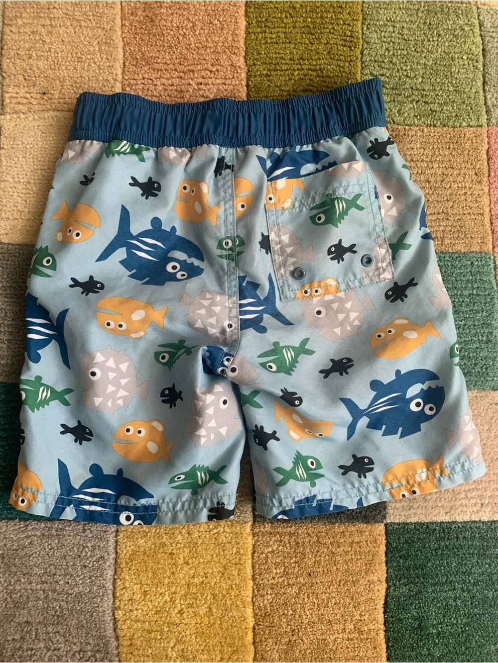 2T Gymboree Swim Trunks Fish Sharks Sea Creatures